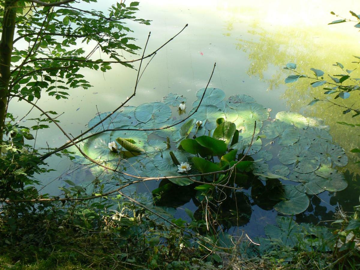 La Maison De L'Etang Sampigny Zewnętrze zdjęcie